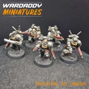 Pro Painted Warhammer 40k Grey Knights ×5 HJ6 (Primaris Conv) Games Workshop - Picture 1 of 4