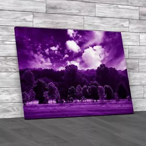 Refreshing Summer Forest Scene Purple Canvas Print Large Picture Wall Art - Picture 1 of 8