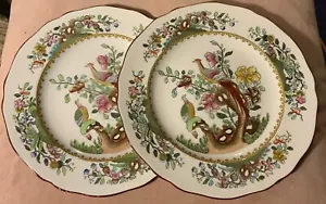 Piatto da pranzo fagiano asiatico antico Copeland Spode 8,75"" Waring & Gillow - Foto 1 di 18