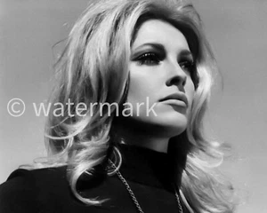 Sharon Tate Vintage ⭐Hollywood⭐ 1960s -  8X10 PUBLICITY PHOTO -  Celebrities - Picture 1 of 1