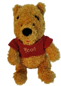 2000 Walt Disney World Classic Winnie The Pooh 10" peluche fuzzy parchi giocattolo - Foto 1 di 6