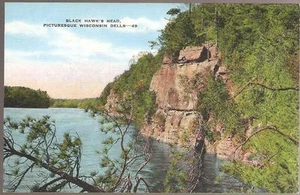 CARTOLINA WISCONSIN DELLLS LINO VINTAGE MORTO FALCO NERO (INUTILIZZATO) NUOVO NUOVO DI ZECCA - Foto 1 di 2