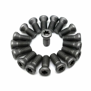 Viti Torx M2 M2.5 M3 M3.5 M4 M5 M6 per Sostituzioni Inserto in Carburo Utensili Tornio CNC - Foto 1 di 15