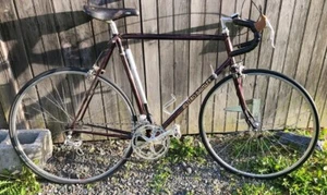 Daimler Austro inter 10 531 Reynolds Complete Bike Vintage - Picture 1 of 23