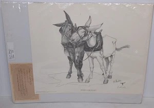 BONNIE SHIELDS SIGNED COA LIMITED EDITION ROMEO & JULIET FREE SHIPPING - Picture 1 of 7