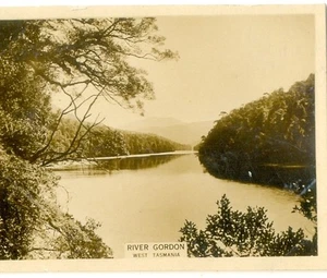 1925 W.D. & H.O. WILLS - AUSTRALIAN SCENIC SERIES NO. 91 River Gordon West Tassy - Picture 1 of 2