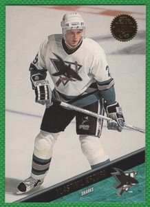 Vlastimil Kroupa - 1993-94 Leaf #439 - San Jose Sharks Hockey Card