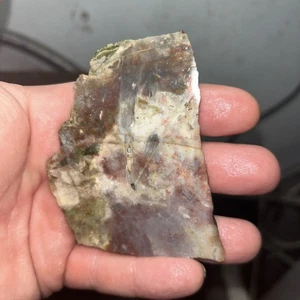 Rough Slab Unknown Picture Jasper  Thick Lapidary Cabbing Stone Mineral Society - Picture 1 of 8