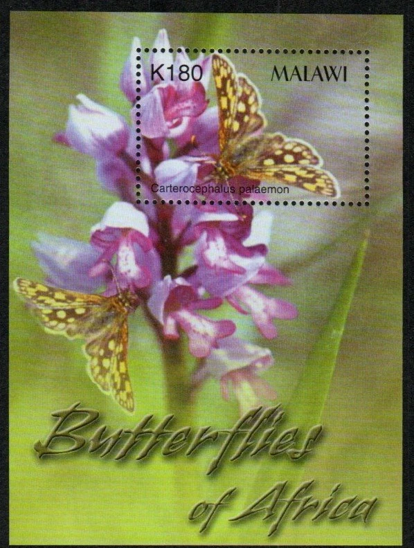 Malawi Stamp 719  - Only butterfly in souvenir sheets - Image 1 of 1