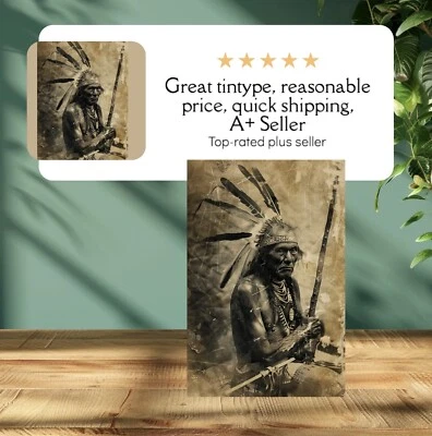 Индейский тонип ограниченный выпуск музейная серия C00271RP - Изображение 1 из 3