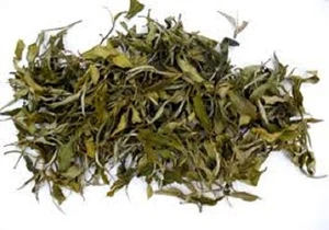 Darjeeling Tea (FRESH FIRST FLUSH 2025) GIDDAPAHAR CLONAL WHITE TEA  - Picture 1 of 3