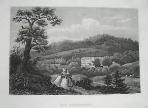 Bad Liebenstein mit Burg Thüringen seltener echter alter Stahlstich 1846 - Bild 1 von 1
