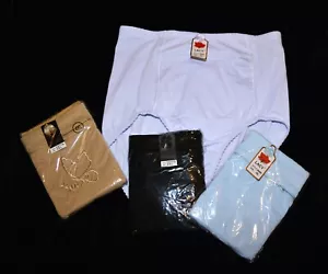 NUEVO CON ETIQUETAS FAJAS DE ENCAJE ROPA INTERIOR bragas bolsillo con cremallera bordado para mujer 3XL / 4XL - Imagen 1 de 16