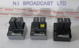 1x Sony actiforce charger with 2x lithium ion np-fh100 batteries (26wh ) batte - Picture 1 of 8