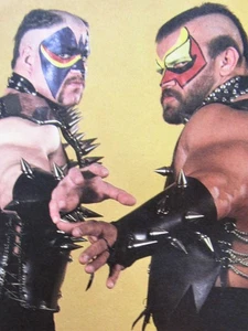 WWF WRESTLING SUPERSTARS OCTOBER-NOVEMBER 1991 PRO WRESTLING DVD (W-2070) - Imagen 1 de 1