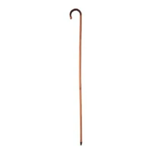 Bamboo Cane - Picture 1 of 1