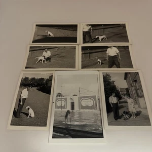 Vintage Photo Lot X 14 People With Dog Animal Pet 1910s - 1960s Photograph - Picture 1 of 9