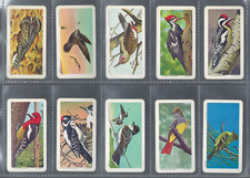 BROOKE BOND- 1963 -CANADIAN/AMERICAN SONGBIRDS - COMPLETE 48 CARD SET - EX