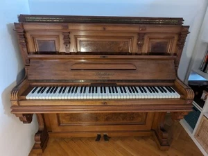 Klavier Blüthner Wurzelholz - 151 cm x 69 cm x 130 cm BL 1900/1001 - Bild 1 von 20