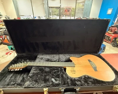Godin A12 Acoustic/Electric 12-String Guitar - Image 1 of 4