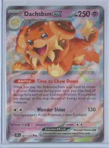 Pokémon 2024 STELLAR CROWN DACHSBUN EX 067/142 MINT Never Played FULL ART HOLO - Bild 1 von 1