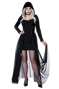 Gothic Hooded Dress Sorceress Witch Adult Costume - Picture 1 of 2
