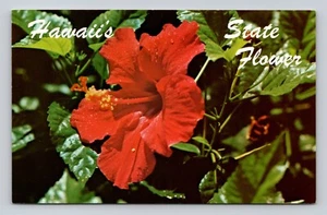 Postcard Red Hibiscus Is The Official State Flower Of Hawaii - Picture 1 of 2
