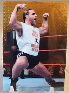 1999 Comic Images SHAWN MICHAELS COMMISSIONER Gold Star Refractor Insert Card SP - Picture 1 of 2