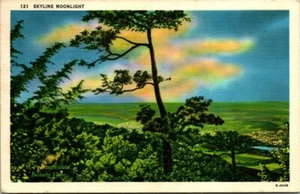 AK 121 Skyline Mondschein  - Bild 1 von 2