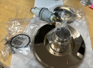 Brizo Invari: Druckausgleichsventil nur Trimmen - weniger Griff T60P076-PGLH - Bild 1 von 3