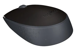 910-004424 Logitech M171 Maus rechts- und linkshändig kabellos 2.4 GHz kabel ~D~ - Bild 1 von 1