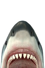Great White Shark Jaws Attack Illustration Poster 12x18 inch