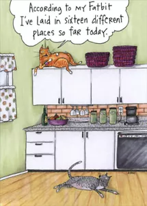 Oatmeal Studios Two Cats in Kitchen Funny  Humorous Birthday Card - Picture 1 of 2