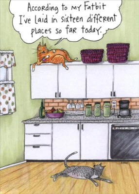 Oatmeal Studios Two Cats in Kitchen Funny Humorous Birthday Card