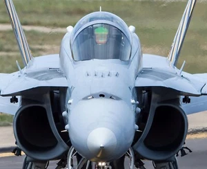 Custom 1:18 F-18C IFF bird slicer antennas for BBI Elite Force F-18 painted - Picture 1 of 3