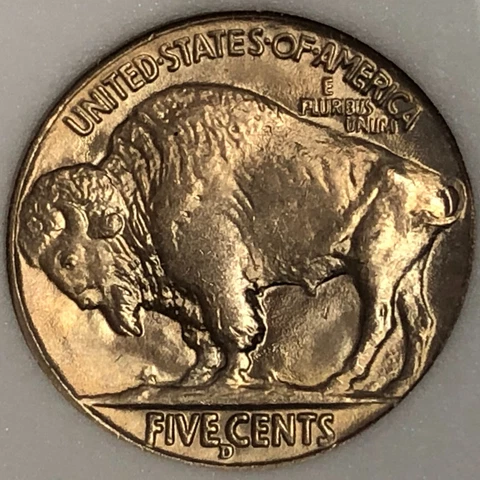 US 1938 D - Buffalo Indian Nickel - 5 Cent coin - Full horn Cover
