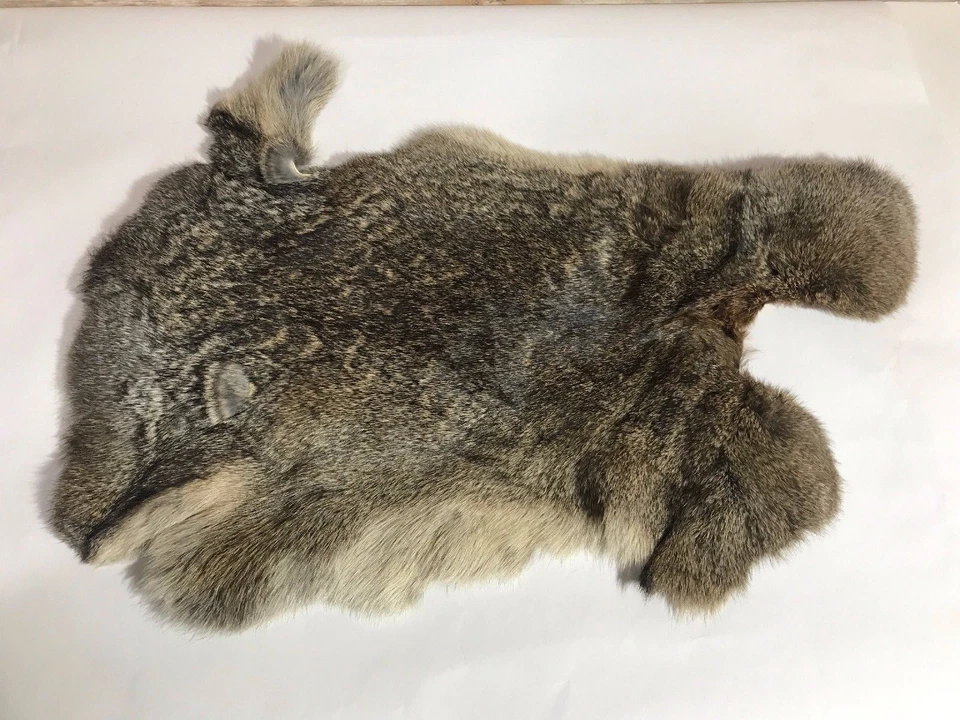 Piel de conejo piel taxidermia diseño interior utilería Foto 1 de 4