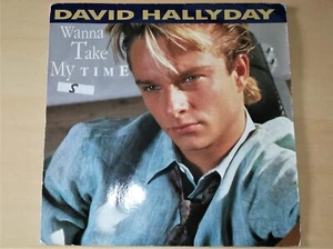 DAVID HALLYDAY - WANNA TAKE MY TIME ( DISQUE 45 TOURS ) - V17 - - Picture 1 of 1