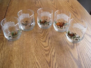 Set di 5 bicchieri vintage Libbey SUNOCO North American Wildlife - Foto 1 di 9