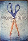 Scissor Sisters Concert Poster 2004 F-631 Fillmore