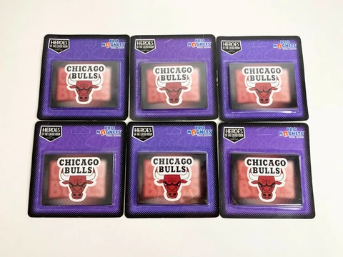 Lot of 6 Vintage Chicago Bulls Magnets NBA 1998 Cover