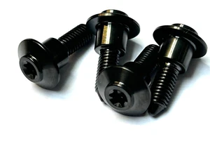 BMW R1250RT 2020-2024 TITAN BILDSCHIRMSCHRAUBEN SCHWARZ FILLISTER TORXKÖPFE 4 SCHRAUBEN - Bild 1 von 11