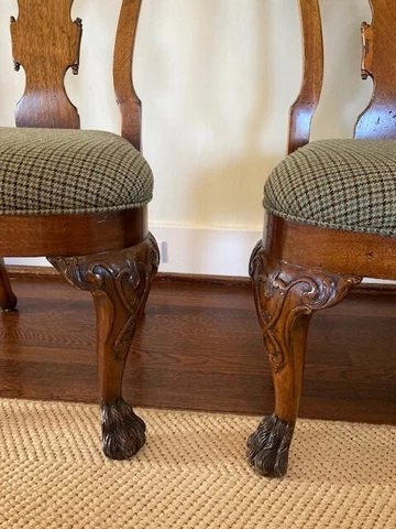 Set of 4 Queen Anne chairs 19th C HAIRY PAW FEET, carved knees MAHOGANY Cover