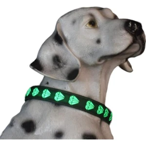 Light Up Dog Collar 3D Design Comfortable Multicolor Lighting Small USB-C LED - Picture 1 of 8