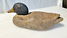 Vintage Duck Decoy Hand Made Coated Foam Painted Scarce Old Decoy Duck -As Found