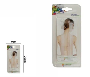 Paia Coppia Spalline Bretelle Reggiseno Trasparenti Silicone dfh - Foto 1 di 1