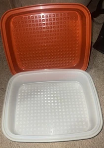TUPPERWARE LARGE Paprika SEASON SERVE MARINADE MARINATE DISH Marinating EUC - Picture 1 of 17