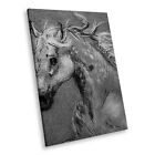 A800 Black White Animal Portrait Canvas Picture Print Large Wall Art Horse Cool