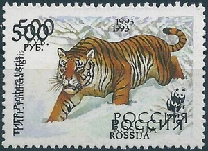 14675 Russia Rossija Fauna Animal Tiger (500 Rubel) Organization WWF ERROR - Picture 1 of 1