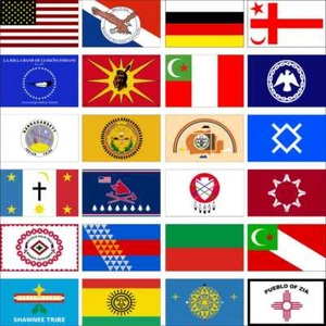 Native Flag Northern Cheyenne Pascua Yaqui Pawnee Peoria Pine Ridge Robinson - Picture 1 of 13